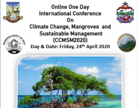 Climate Change, Mangroves and Sustainable Management
